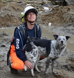 Lisa Bishop and her Northwest Disaster Search Dog, Cody, in Oso, Wash. Source: Flickr user: TheNationalGuard.
